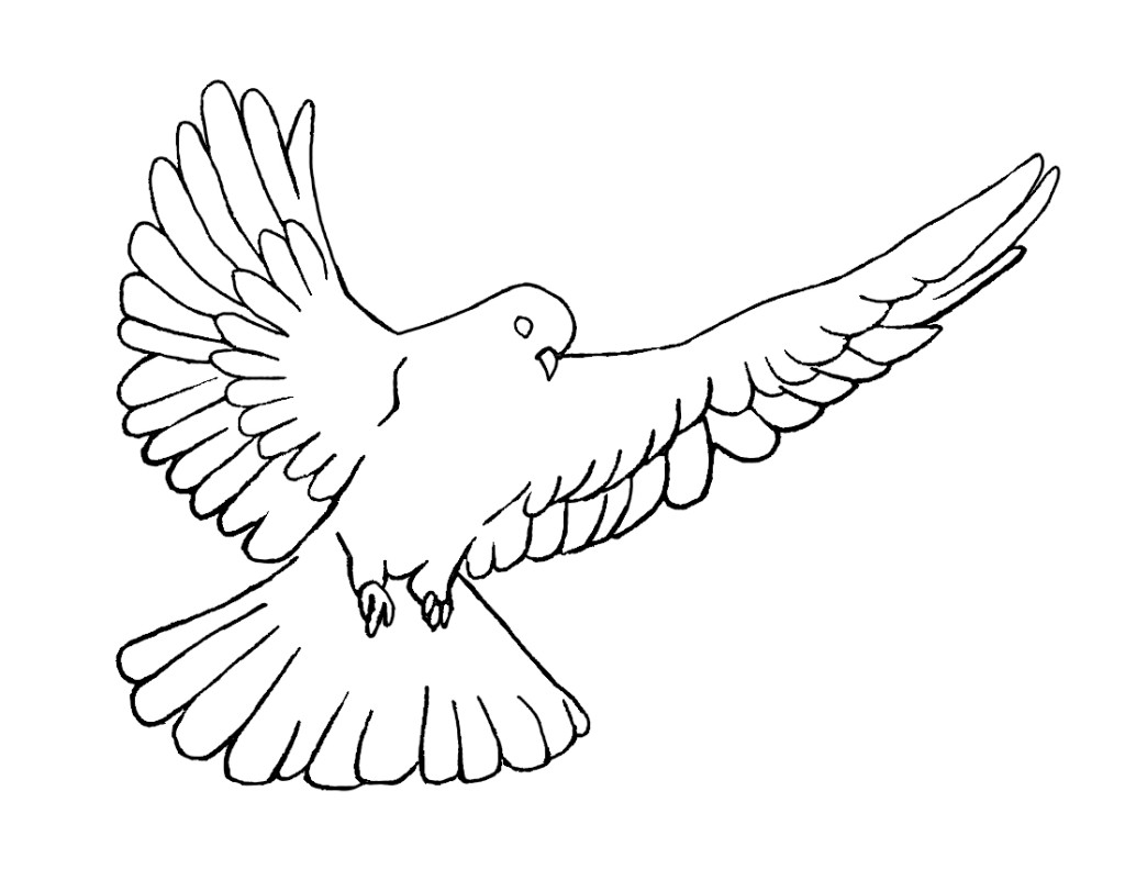 Holy Spirit Dove Symbol Images Free Download Png Clipart