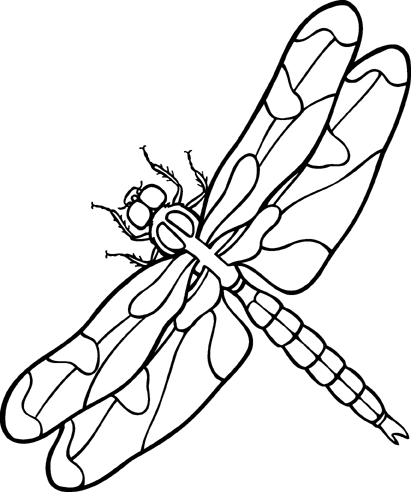 Dragonfly Black And White Danasoka Top Clipart