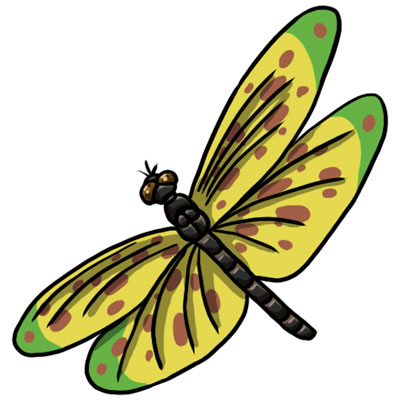 Free Dragonfly Png Image Clipart