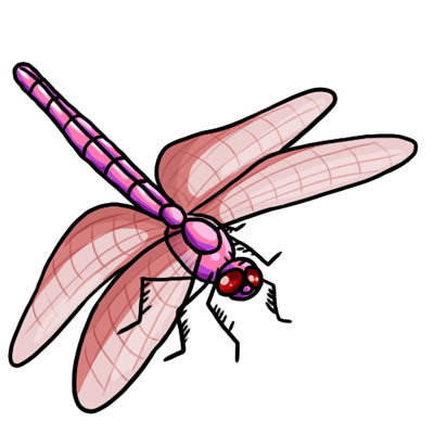 Dragonfly Download Images Hd Photo Clipart