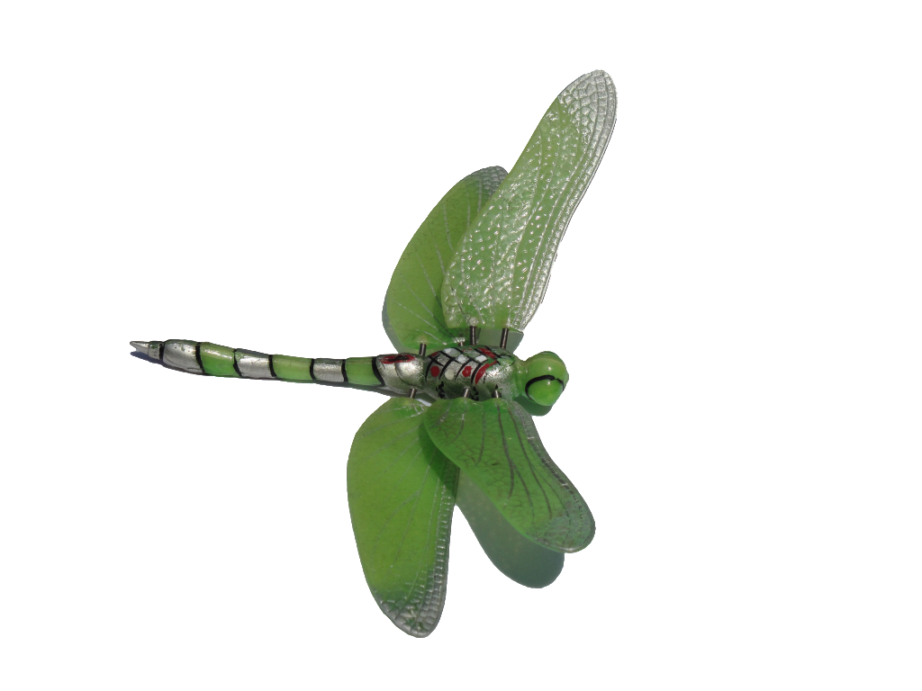 Dragonfly Photo Clipart Clipart