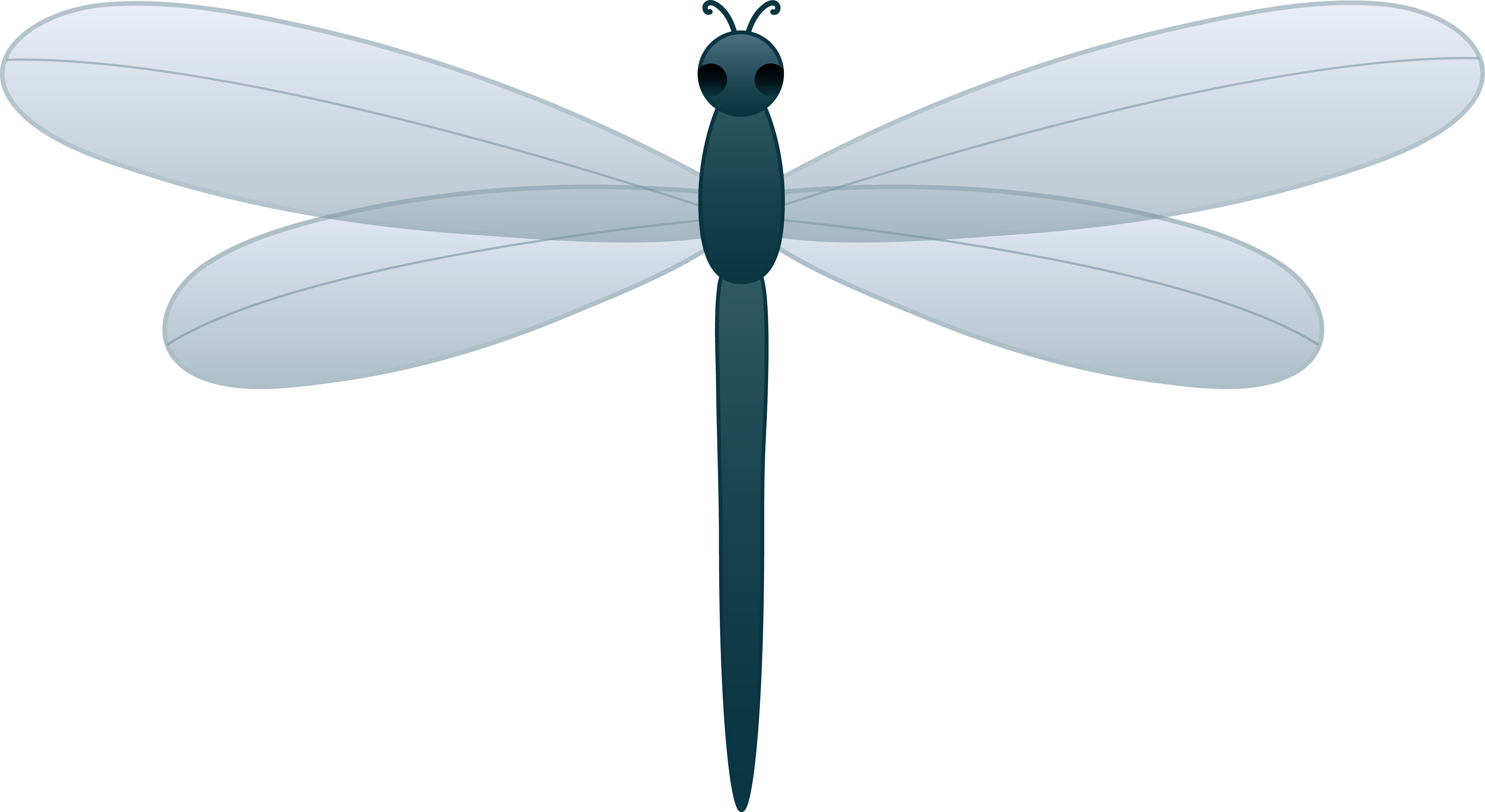 Dragonfly Clipart Clipart