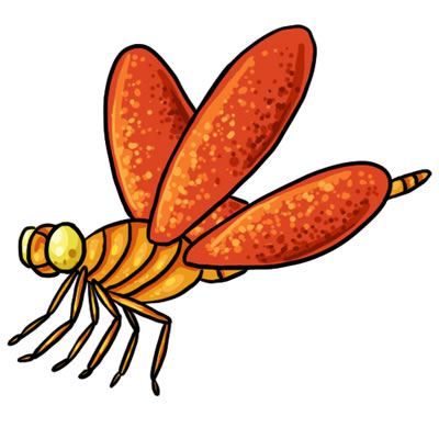 Free Dragonfly Free Download Png Clipart