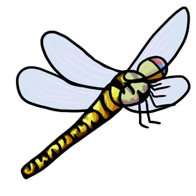 Free Dragonfly Hd Photo Clipart