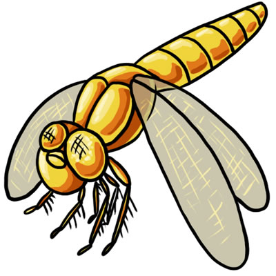Free Dragonfly Hd Image Clipart