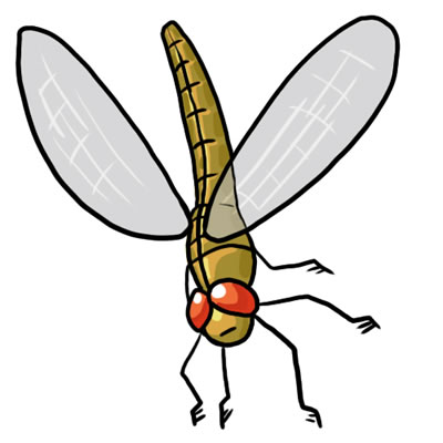 Free Dragonfly Clipart Clipart