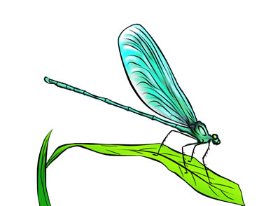 Free Dragonfly 2 Free Download Clipart