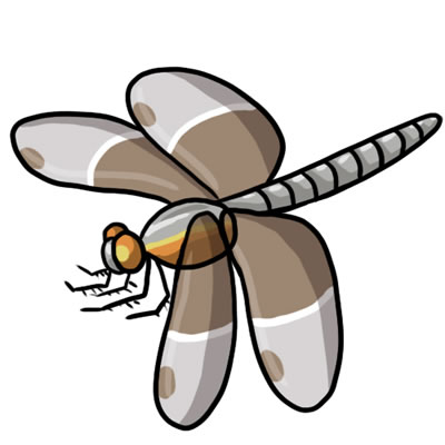 Free Dragonfly Hd Image Clipart