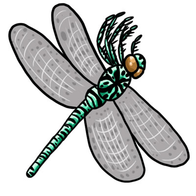 Free Dragonfly For You Image Png Clipart