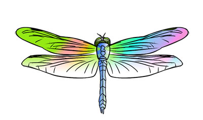 Dragonfly Download Images Free Download Clipart