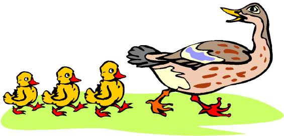Duck Image Little Duck Bobbing Up And Clipart