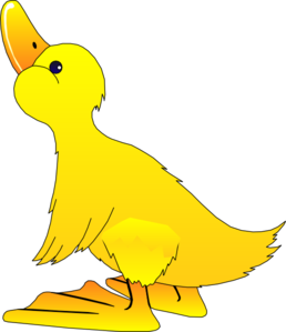 Flying Duck Images Image Transparent Image Clipart