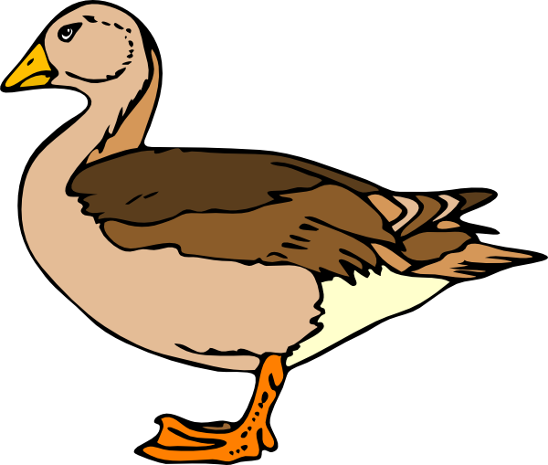 Duck Image Images Free Download Png Clipart
