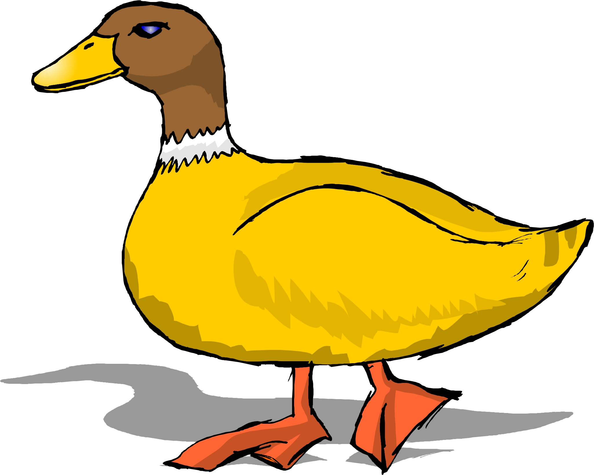 Free Duck Pictures Graphics Illustrations Image Clipart