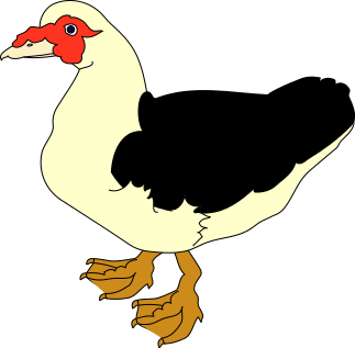 Free Duck Image Clipart Clipart