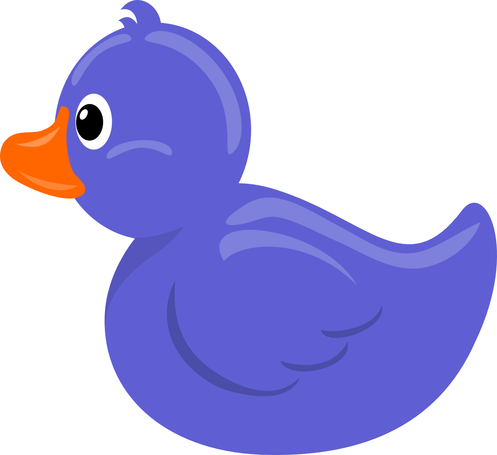 Flying Duck Images Image Hd Photo Clipart