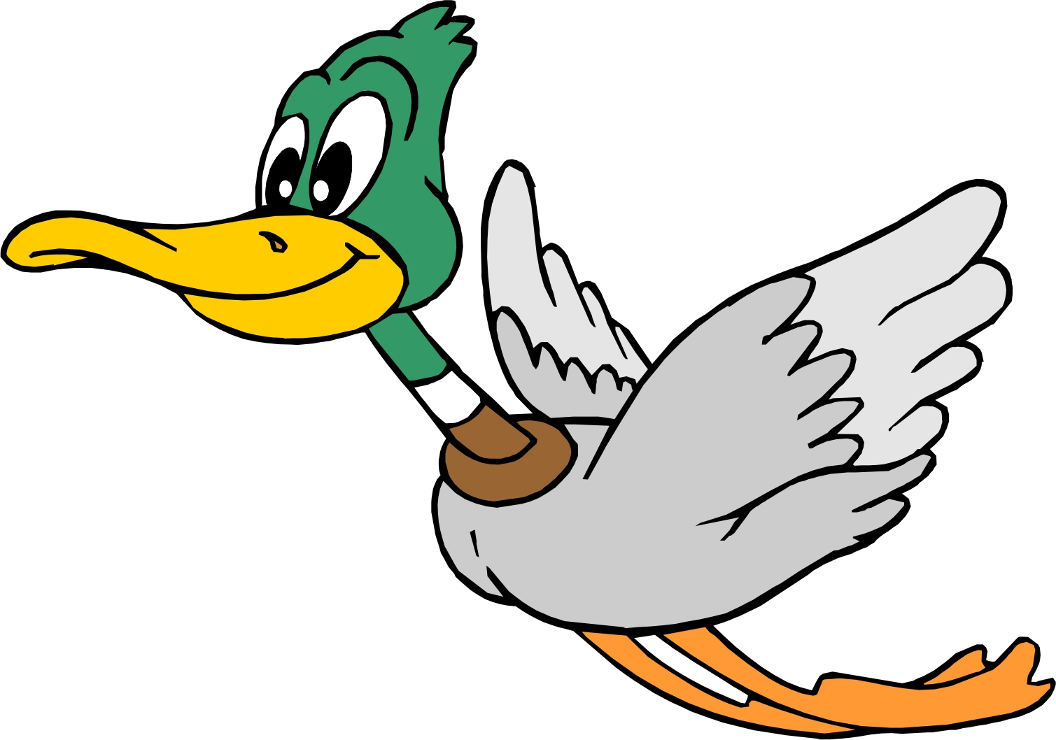 Flying Duck Images Image Hd Photos Clipart