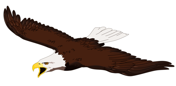 Eagle Gallery Pictures Clipart Clipart