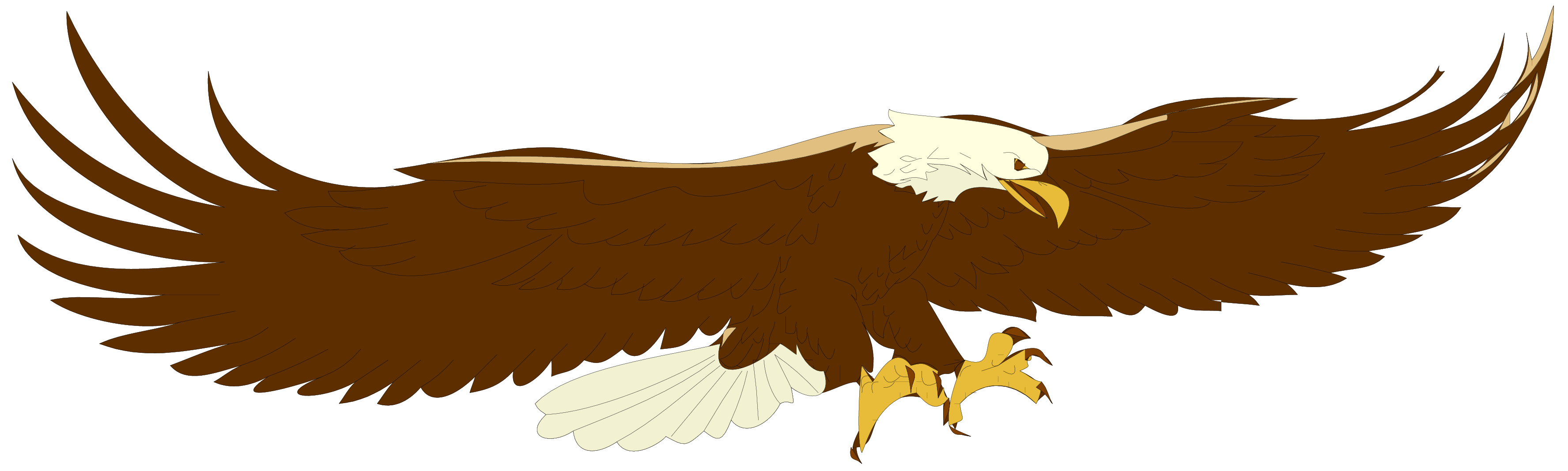 Bald Eagle Free Download Clipart