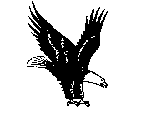 Flying Eagle Transparent Image Clipart