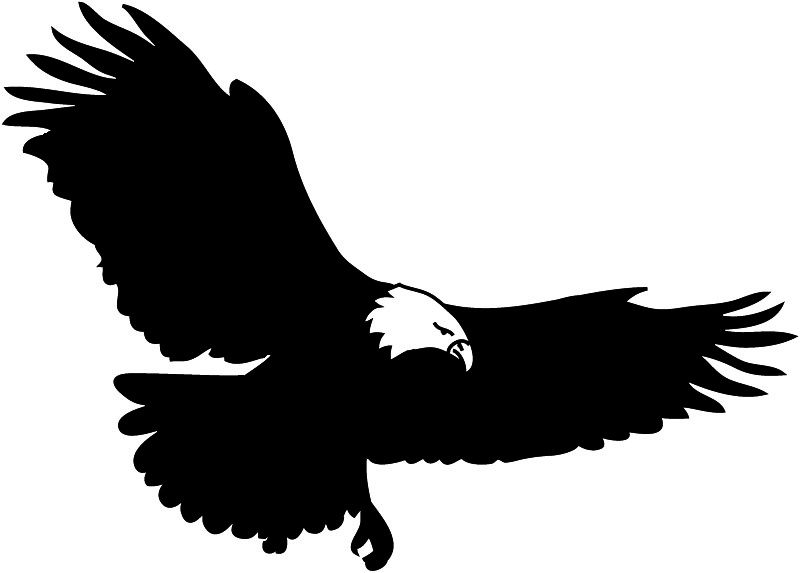 Flying Eagle Png Image Clipart