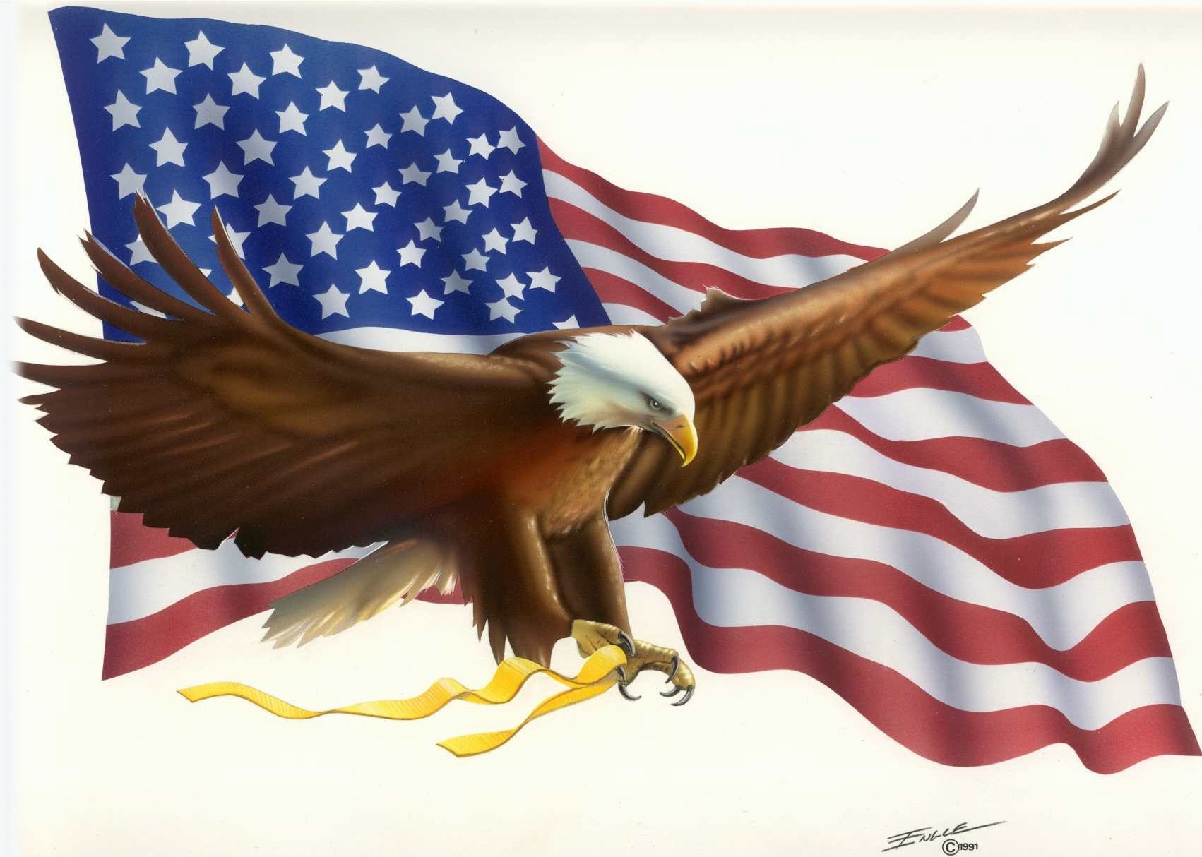 Patriotic Images American Bald Eagle Hd Image Clipart