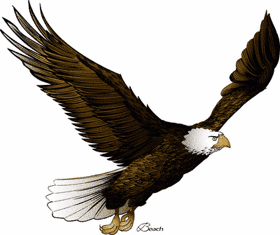 Flying Eagle Free Download Png Clipart