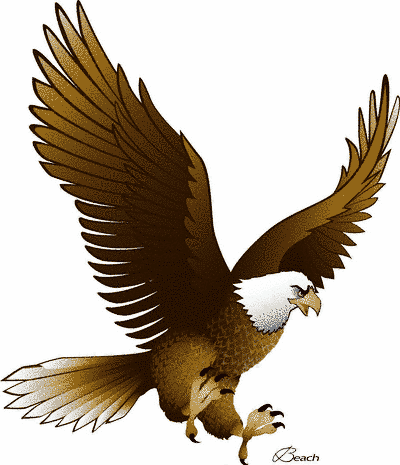 Eagle With Raised Wings Images Png Images Clipart