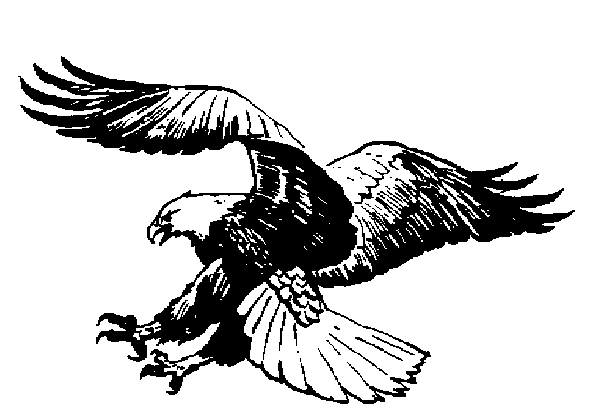 Eagle Clipart Clipart