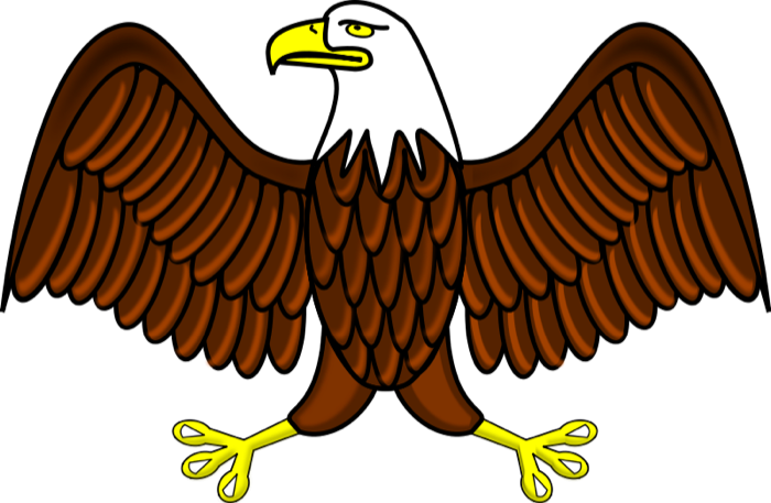 Eagle Graphics Of Eagles Png Images Clipart