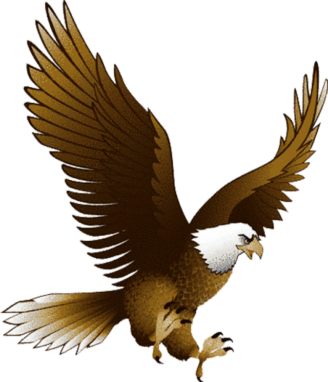 Patriotic Bald Eagle Image Png Clipart