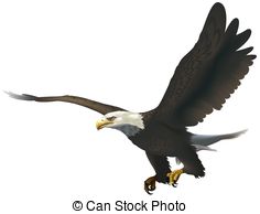 Bald Eagle Hd Photo Clipart
