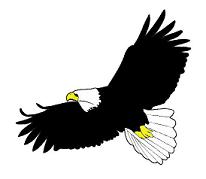 Free Pictures Of Eagles Png Image Clipart