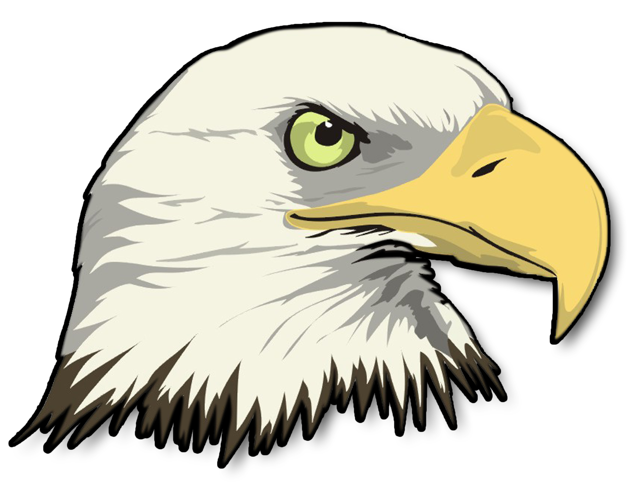 Cartoon Bald Eagle Download Png Clipart