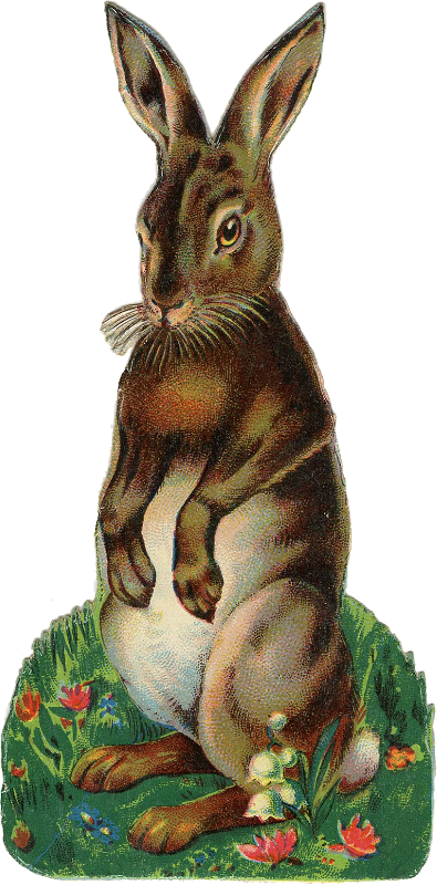 Antique Hare Illustration Rabbit Easter Bunny Clipart