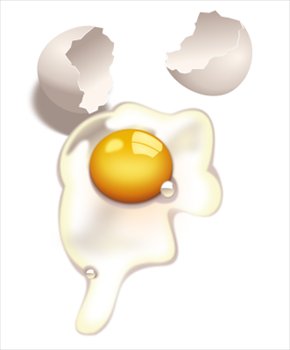 Free Egg Egg Pictures Images Hd Image Clipart