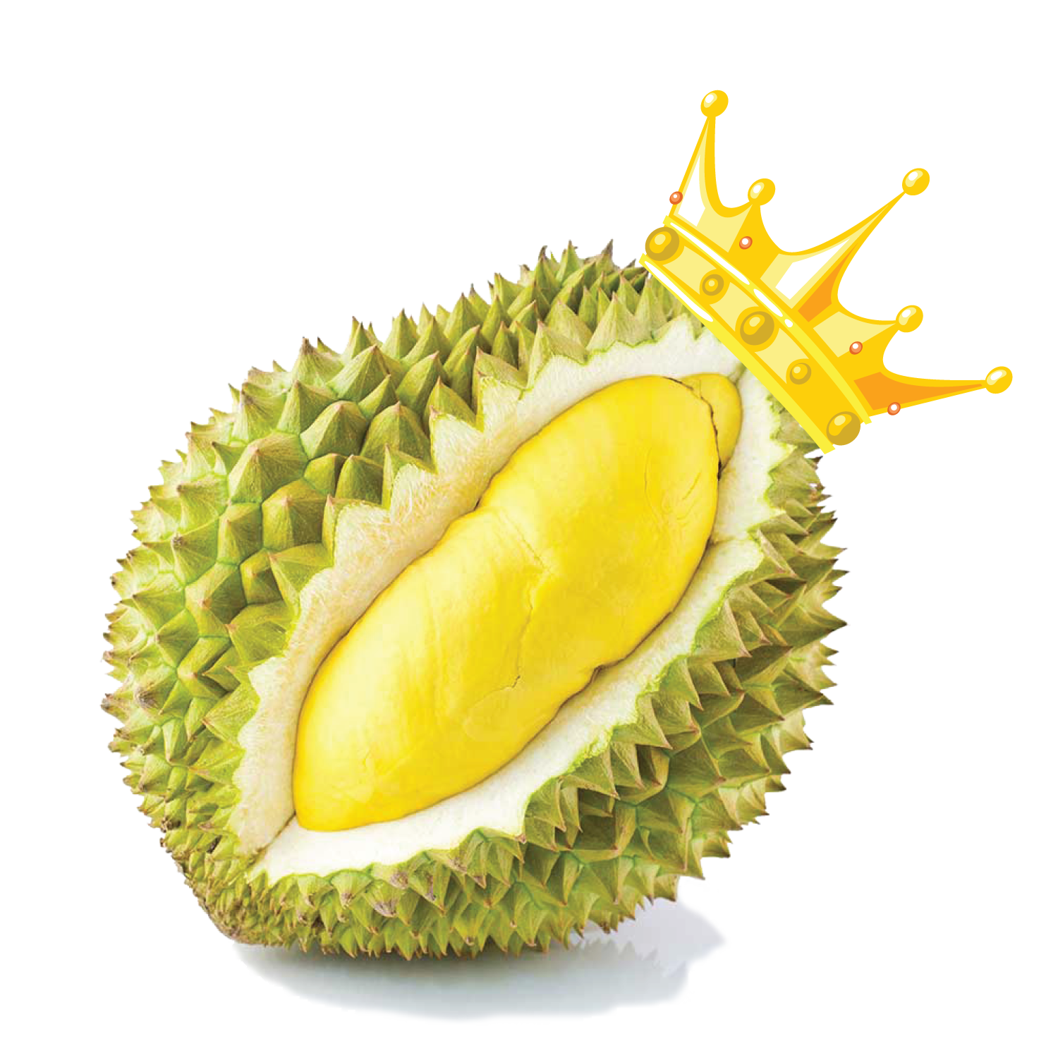 Cuisine Snack Food Zibethinus Durio Fruit Thai Clipart