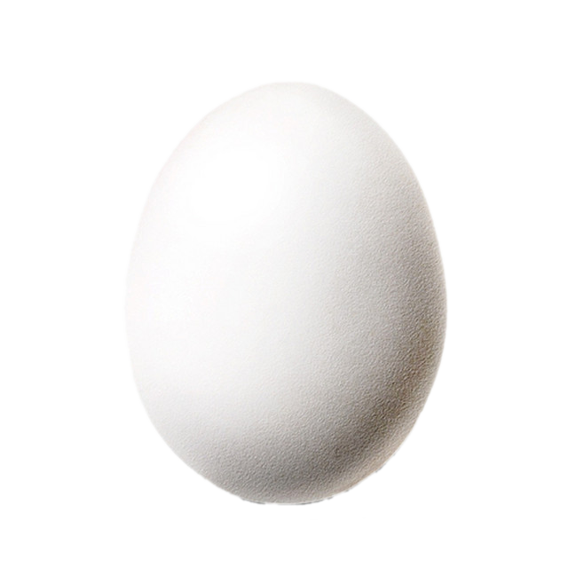 White Fried Egg Eggs Download Free Image Clipart