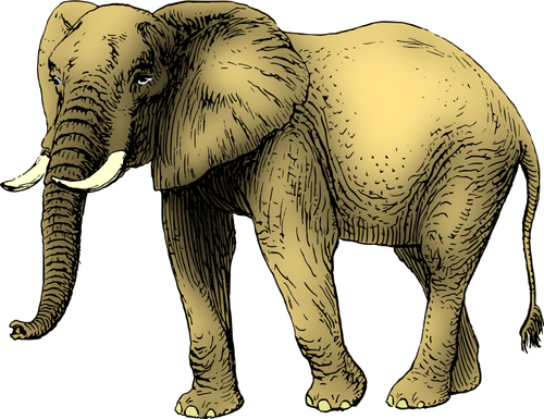 Elephant Colored In Yellow Clipart