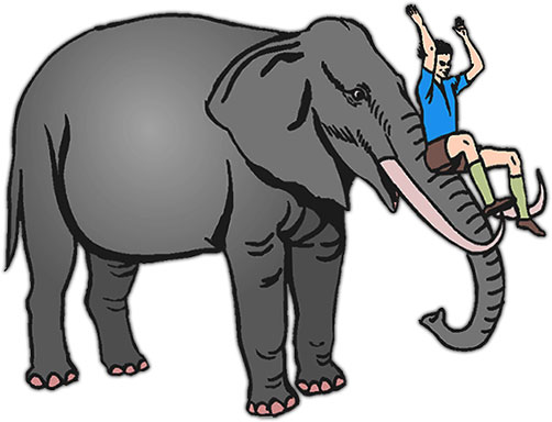 Free Elephant Animations Elephant S Download Png Clipart
