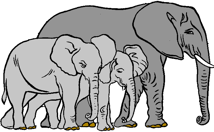 Elephant Download Images Free Download Png Clipart