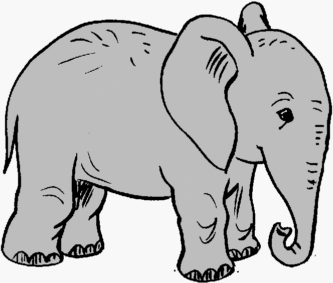 Elephant Black And White Hd Image Clipart