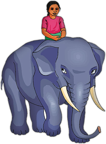 Free Elephant Animations Elephant S Hd Photo Clipart