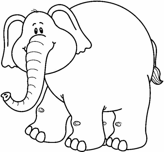 Elephant Black And White Download Png Clipart