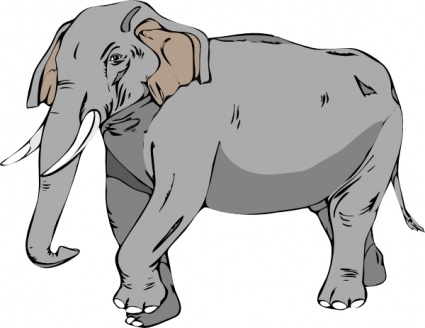Big Elephant Transparent Image Clipart