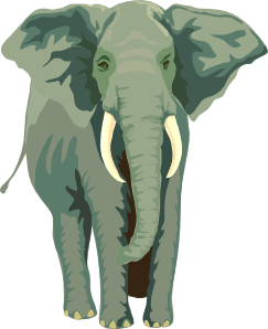 Elephant Vector 4Vector Image Png Clipart