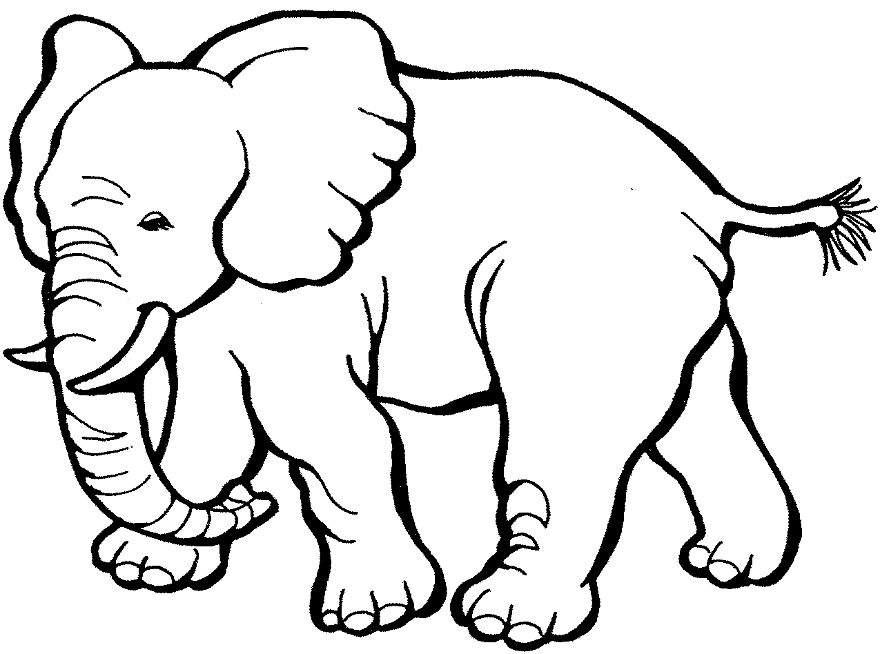 Top Elephant Images And Pictures Download 4 Clipart