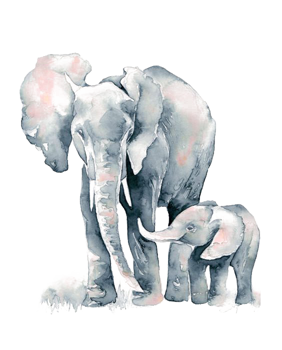 Watercolor Elephant Painting Drawing African Free Photo PNG Clipart