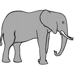 Elephant Png Image Clipart