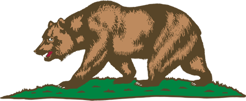 Bear Walking On Grass Clipart